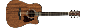 1609582883200-Ibanez AW54CE-OPN Open Pore Natural Acoustic Electric Guitar.png